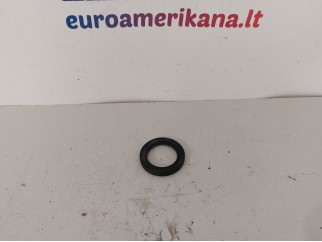 Input Shaft Seal