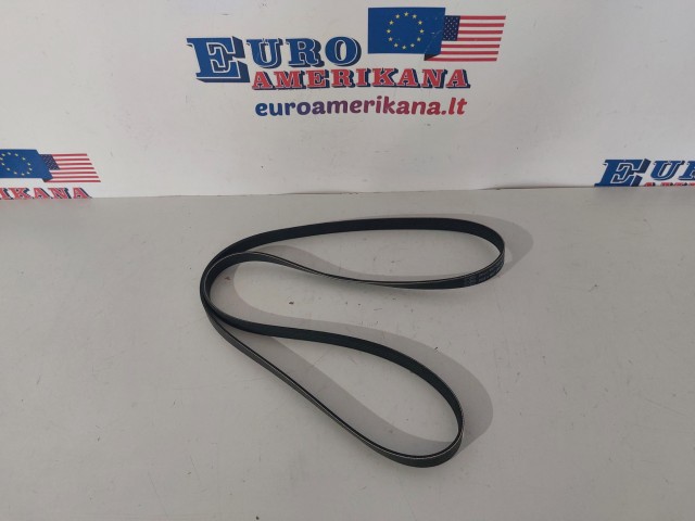 Serpentine Belt