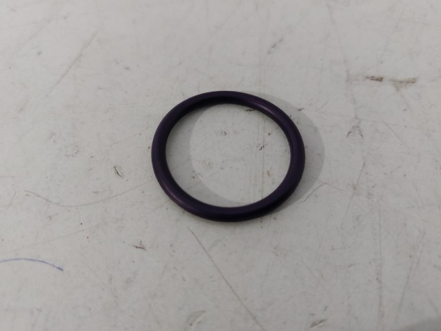 Thermostat Housing O-Ring (Lower, RH)