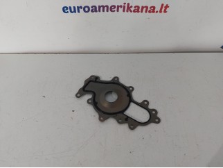 Water Pump Gasket
