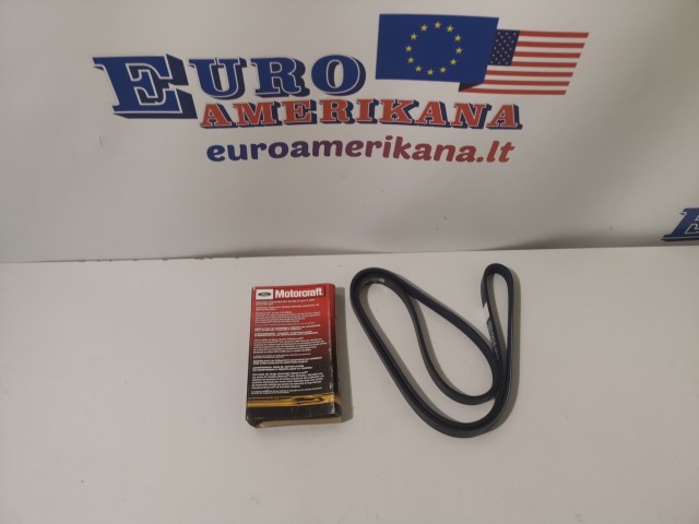 Serpentine Belt