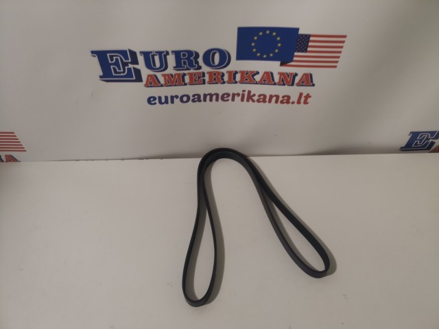 Serpentine Belt