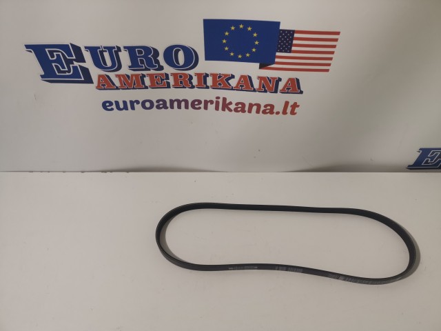 Water Pump Belt
