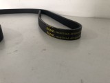 Serpentine Belt