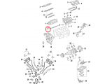 Head Gasket, LH