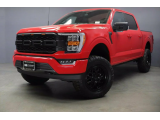 Front Grille (Raptor Style)