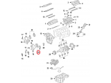 Engine Timing Camshaft Sprocket