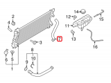 Upper Hose 