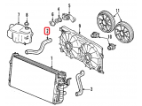 Upper Hose