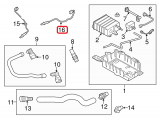 Oxygen Sensor (Lower)