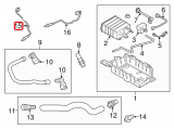 Oxygen Sensor (right)