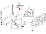 Upper Hose