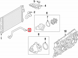 Upper Hose