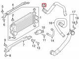 Upper Hose