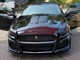 Hood (GT500 Style)