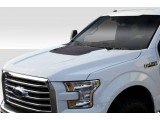 Hood (Raptor)