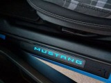 Door Sill Plates, Illuminated