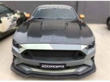 Hood (GT350 Style)