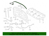 Weatherstrip, Hood