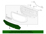 Lower Grille
