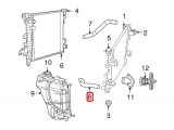 Upper Hose