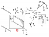 Radiator Assembly