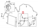 Upper Hose