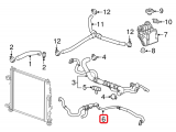 Coolant Hose