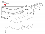 Belt Weather-Strip (right)