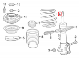 Front Coil Spring