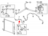 Coolant Hose