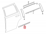 Body Side Molding (left)