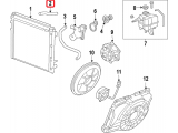 Upper Hose