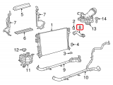 Upper Hose