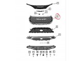 Radiator Grille