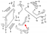 Radiator Lower Hose