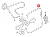 Serpentine Belt
