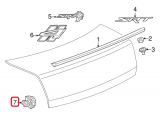 Rear Camera