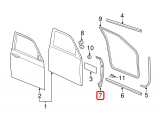 Front Weather-Strip (right)