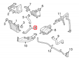 Coolant Hose