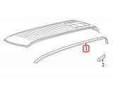 Roof Molding (left)