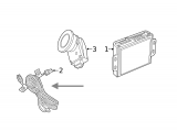 Wire Harness (Rear, Parking Sensor)