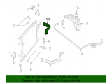 Radiator Hose