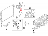 Upper Hose