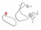 Serpentine Belt