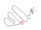 Serpentine Belt