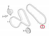 Water Pump Belt