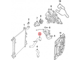 Upper Hose