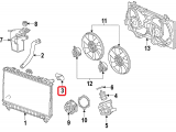 Upper Hose