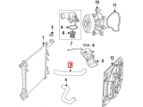 Upper Hose